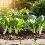 découvrez notre guide pratique pour réussir la culture du chou rouge dans votre jardin, avec des conseils faciles à suivre pour un potager productif et sain.