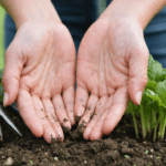 découvrez le secret surprenant pour garder des ongles impeccables en jardinant sans aucune trace de terre. astuces pratiques et conseils pour allier passion du jardinage et beauté des mains.