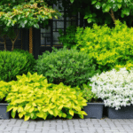 découvrez nos plantes à feuillage panaché pour apporter couleur et lumière à votre jardin toute l'année. idéales pour égayer vos espaces verts en toutes saisons.